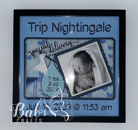 Newborn Shadow Box With Birth Stats