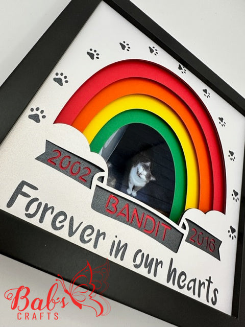 Personalized Pet / Animal Rainbow Memorial Shadow Box