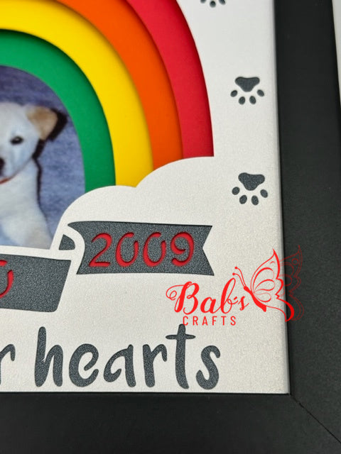 Personalized Pet / Animal Rainbow Memorial Shadow Box