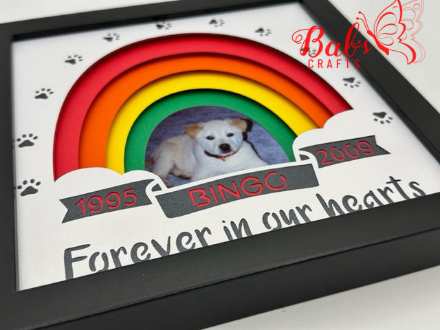 Personalized Pet / Animal Rainbow Memorial Shadow Box