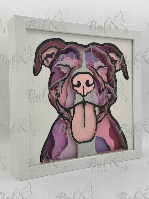 Pit Bull / American Pit Bull Terrier Layered Shadow Box